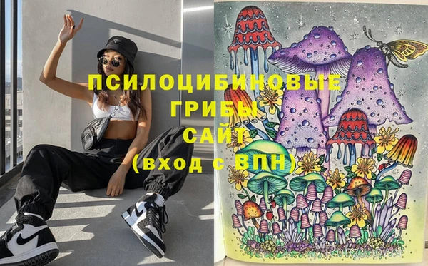 СК Алексеевка