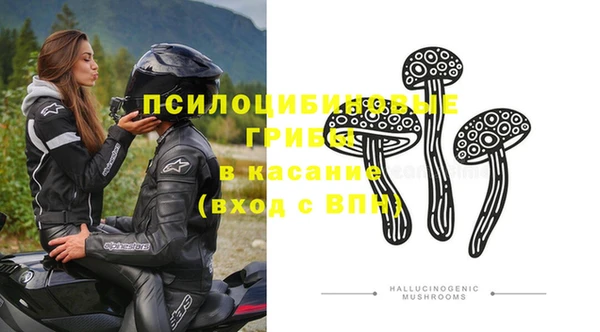 СК Алексеевка