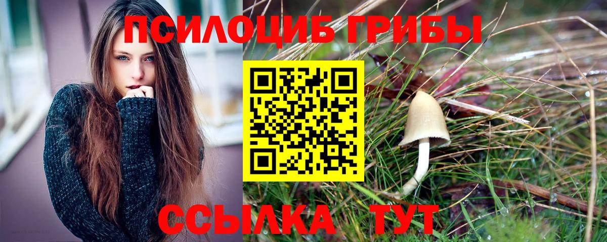 Галлюциногенные грибы Cubensis  Вход с VPN  Заинск  Галлюциногенные грибы GOLDEN TEACHER 